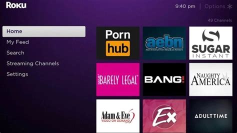 roku porn apps|The 7 Best Premium Porn Roku Channels (2024)